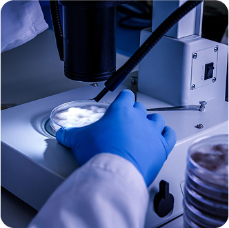 Microscope work
